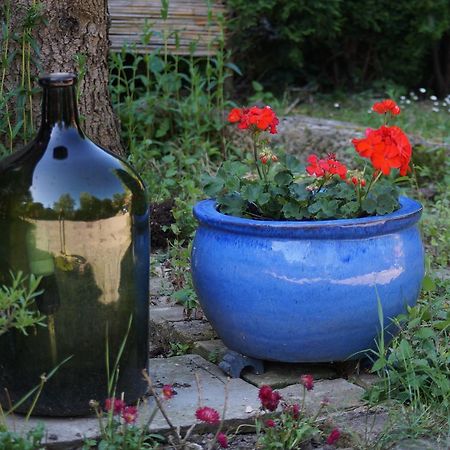 Ferienwohnung Toscana Drážďany Exteriér fotografie